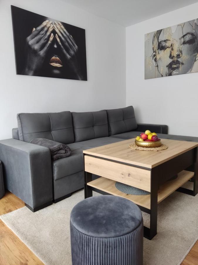 Апартаменты Apartament Janis Затор Экстерьер фото